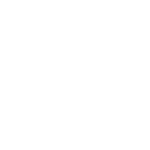 flightlevel.pl-logo